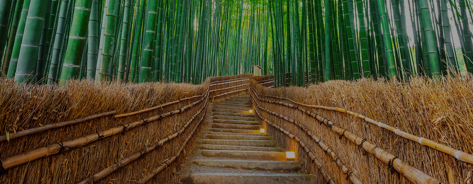 30 Yıllık Tecrübe...