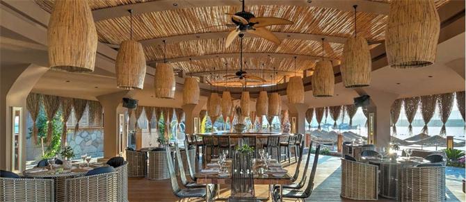 Bambu Kamış Dekor içerik görseli