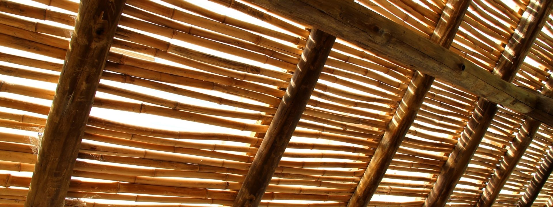 "Bambu Sanatıyla Mekanlarınıza Canlılık Katın."